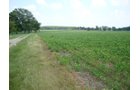 Property photo 8 - 160 Acres Offered in 6 Tracts